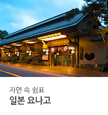 [기획전] 요나고 에어서울 전세기 기획전